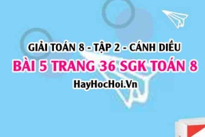 Bài 5 trang 36 Toán 8 Tập 2 Chân trời sáng tạo
